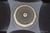 Dome-Janine-Coyne